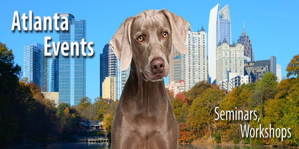 Click here to view upcoming events…