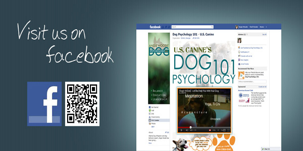 Click here to go to our facebook page…